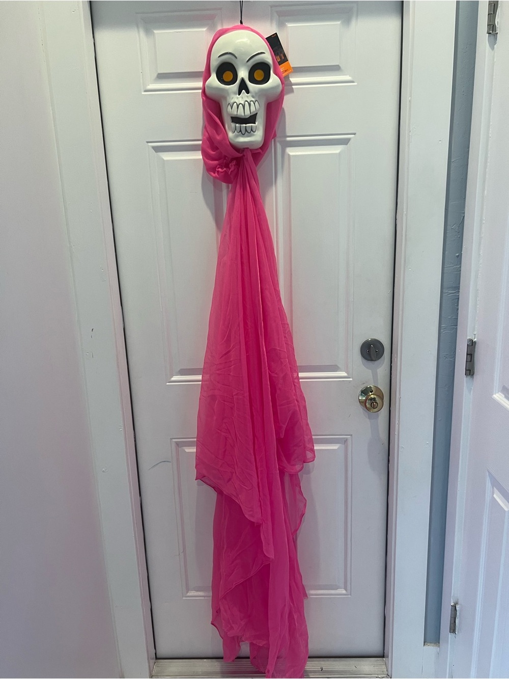 65" BlackLight Glow Ghoul Skull Halloween Prop Pink Hyde & EEK! YZ